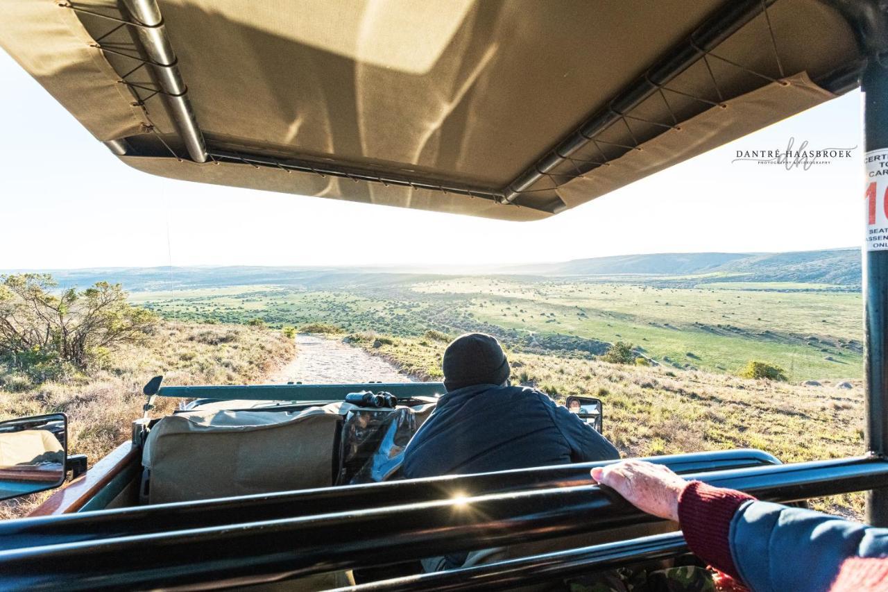 Leeuwenbosch Country House - Amakhala Game Reserve Exterior photo