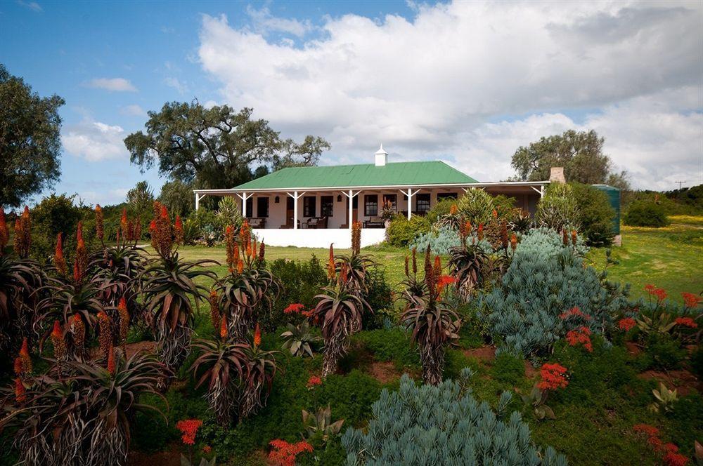 Leeuwenbosch Country House - Amakhala Game Reserve Exterior photo