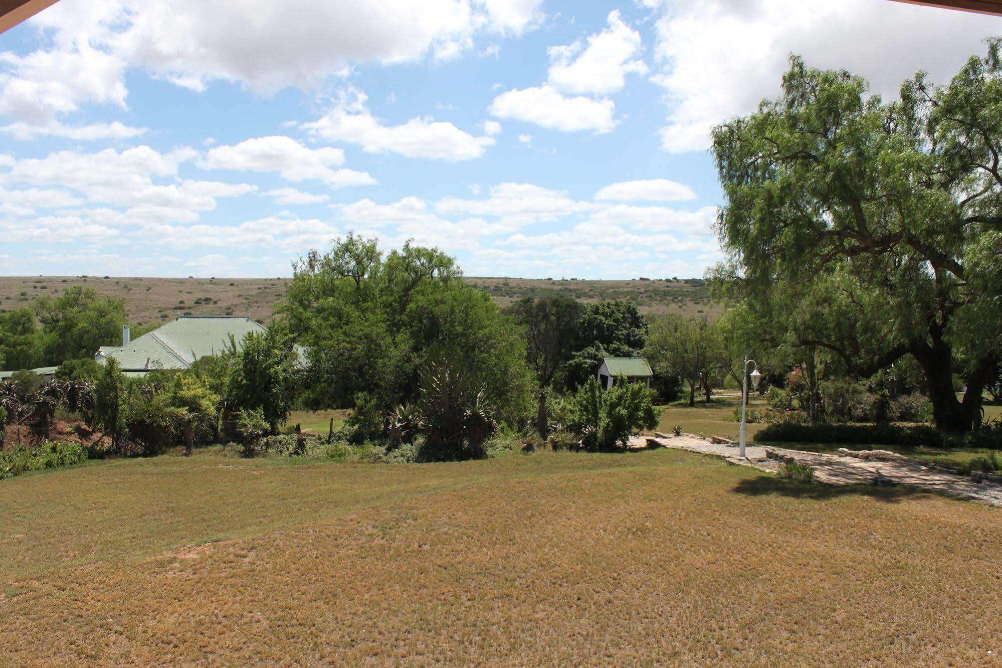 Leeuwenbosch Country House - Amakhala Game Reserve Exterior photo